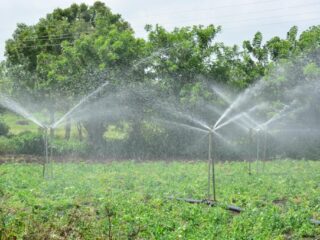 Sprinkler_Irrigation