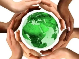 environmental-clearance-service-500x500