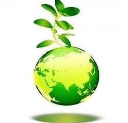 environmental-clearance-services-1700639683-7179121