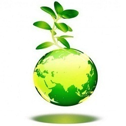 environmental-clearance-services-1700639683-7179121